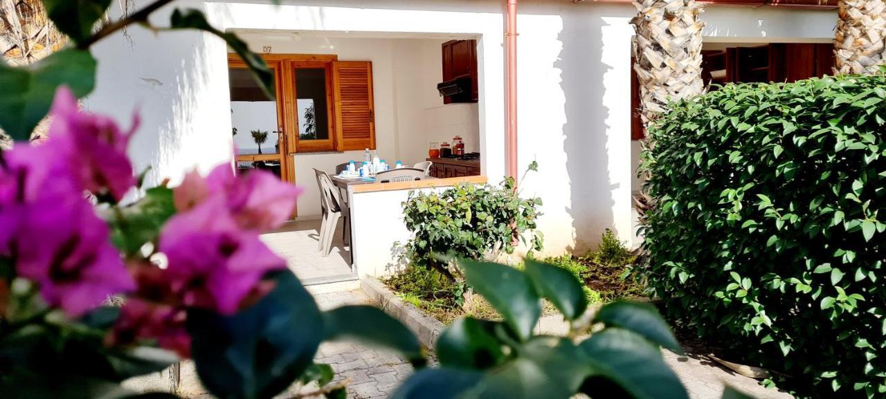 Ninfa Sul Mare 50 M E T R I Dal Mare Parcheggio Gratuito Custodito Capo Vaticano