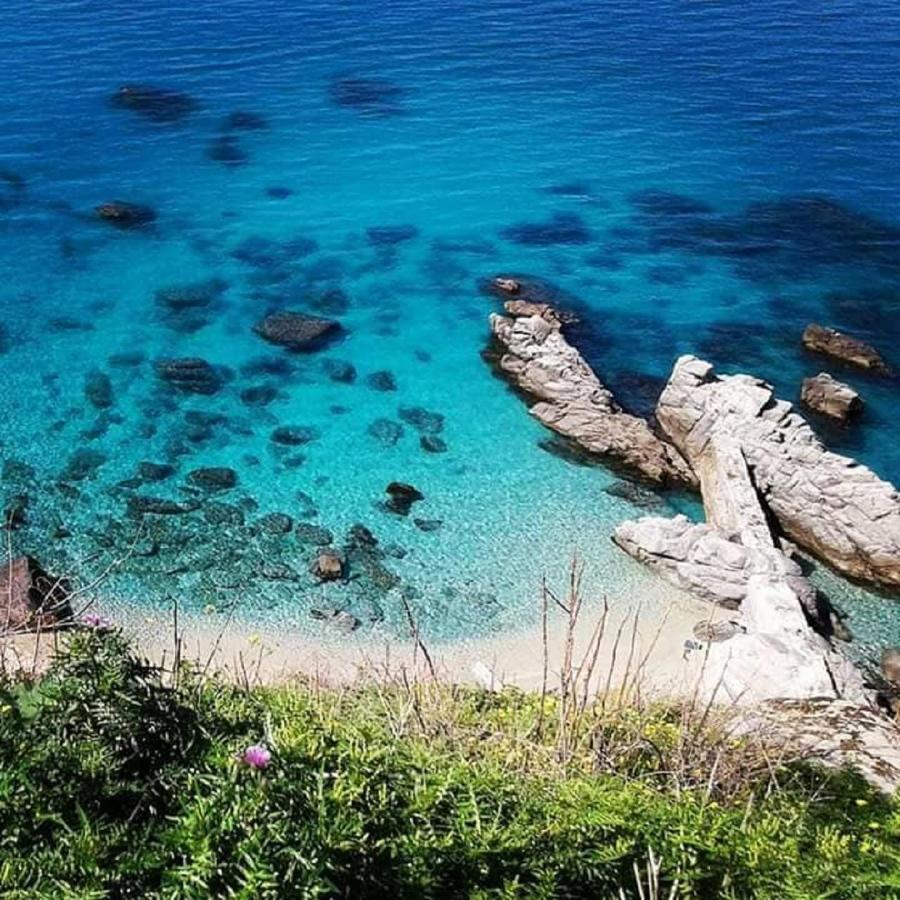 Ninfa Sul Mare 50 M E T R I Dal Mare Parcheggio Gratuito Custodito * Capo Vaticano
