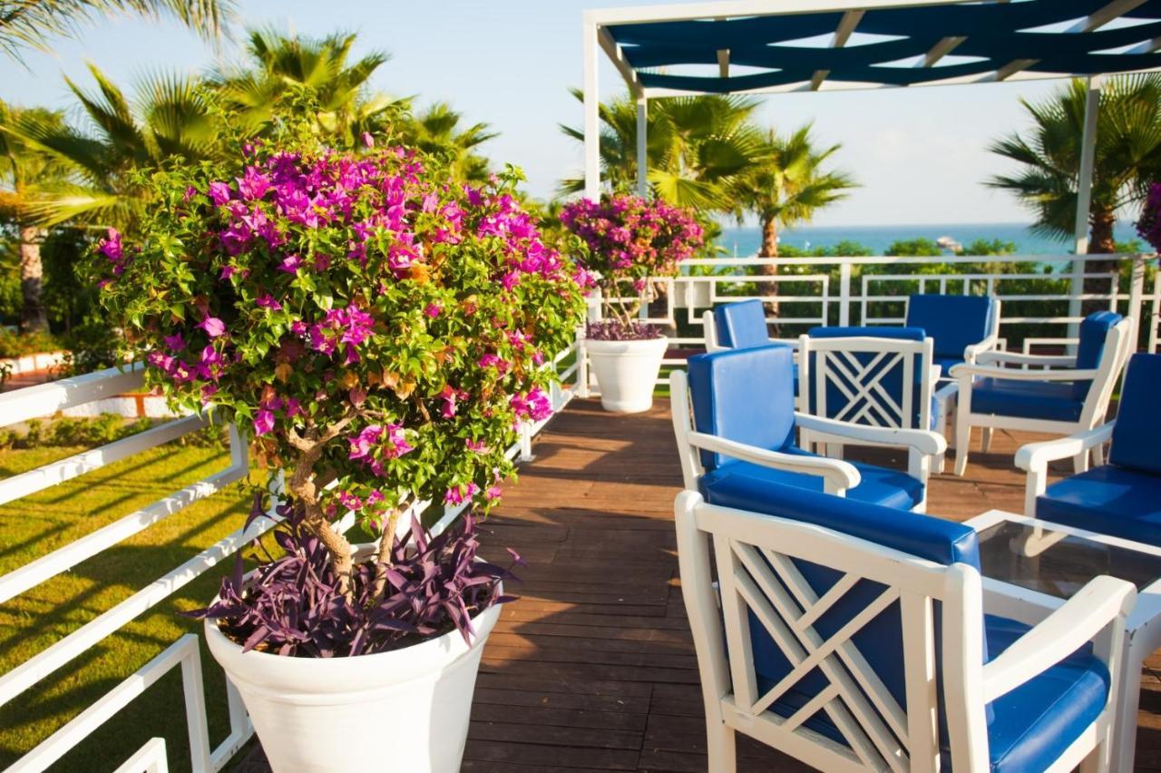 Aparthotel Ninfa Sul Mare 50 M E T R I Dal Mare Parcheggio Gratuito Custodito *